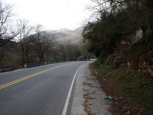 Parque Nacional Campo de los Alisos 'Rain Forest'.